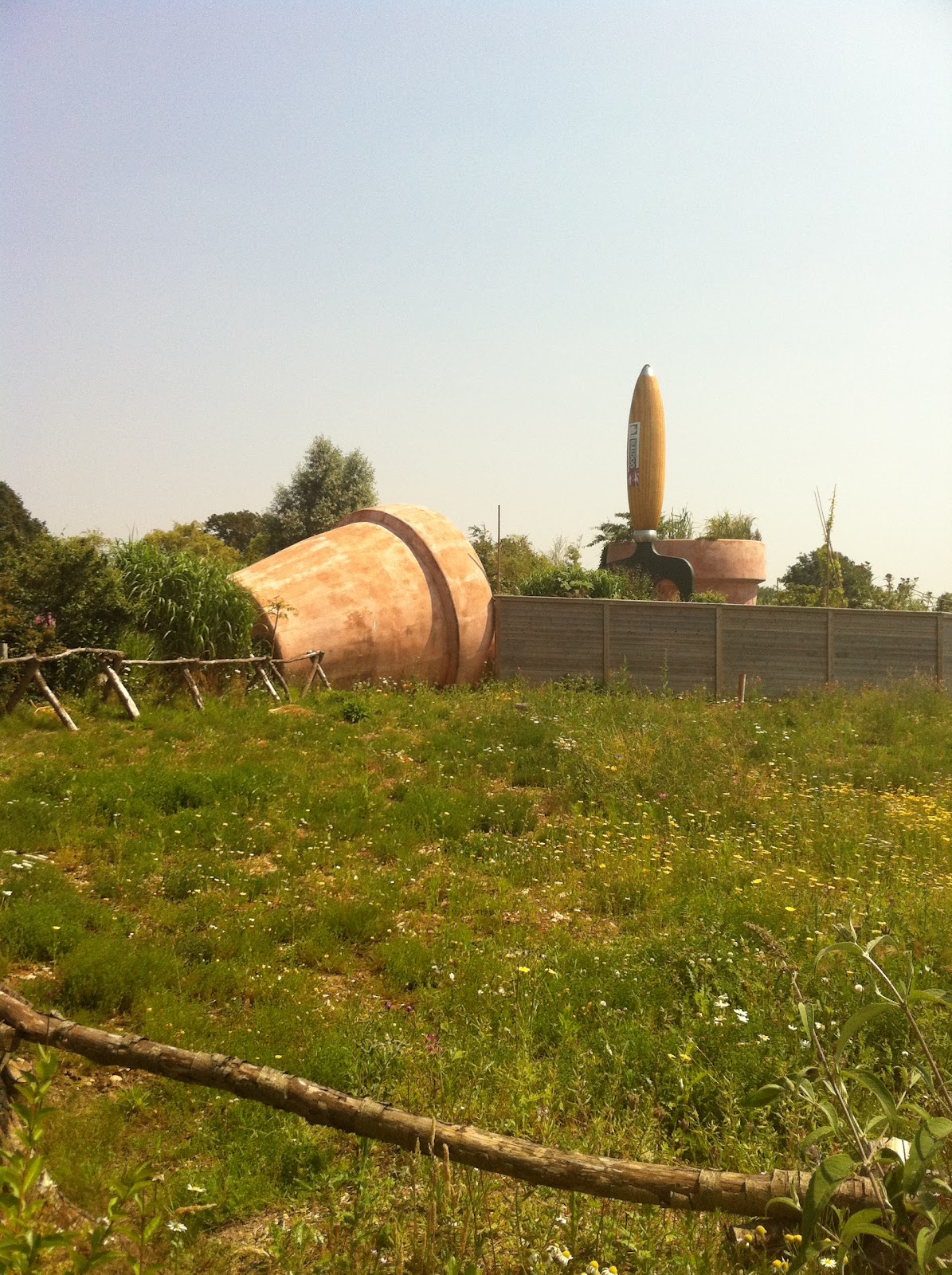 Culture Baby Wings and Fins