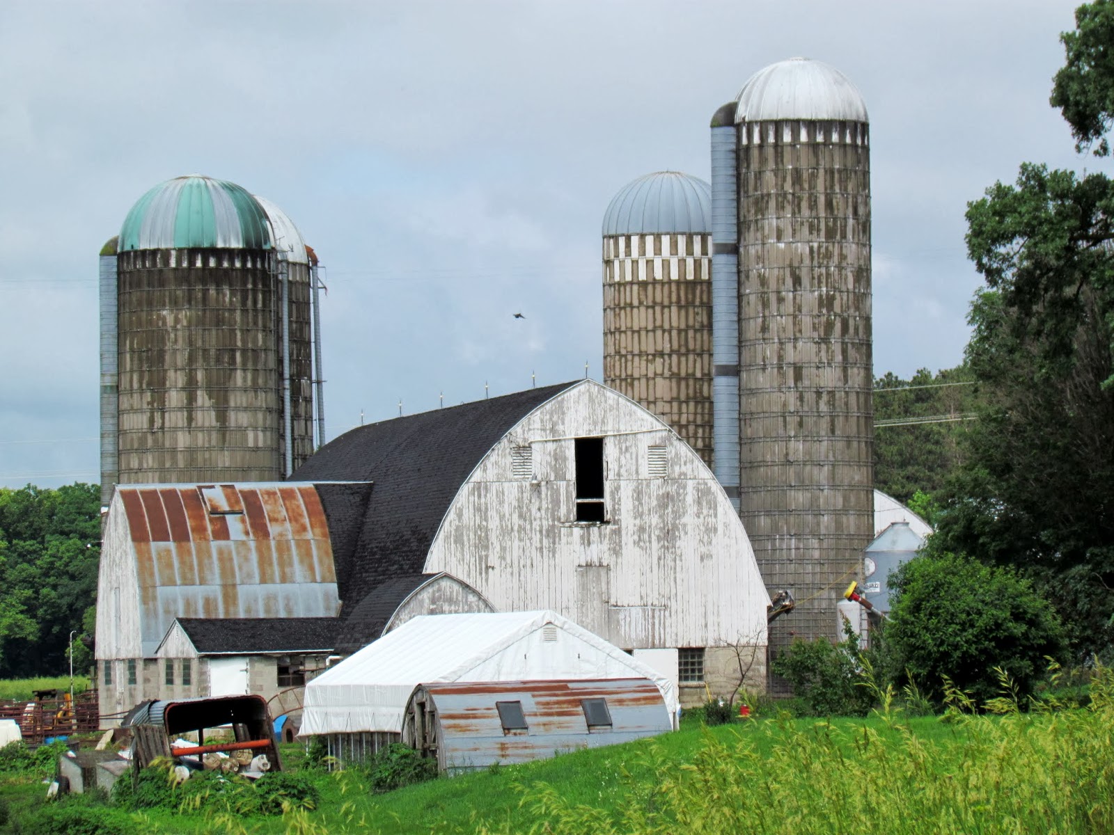 Roving Reports by Doug P 201321 Byron Minnesota