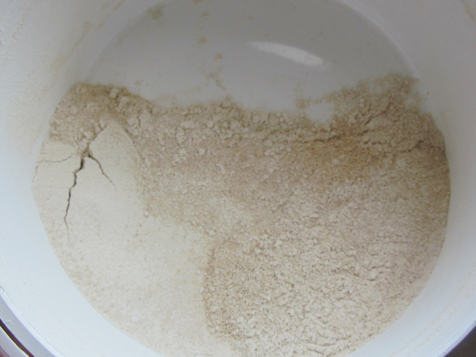 Chef Tess Bakeresse Making wholegrain flour at home in 3 Easy steps