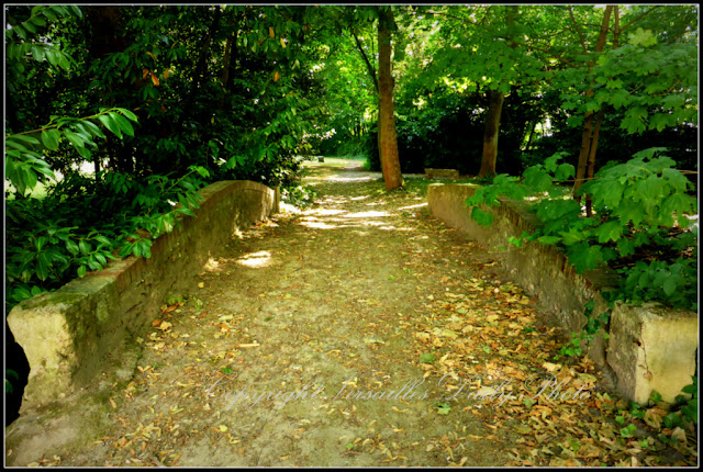 Pont Parc des soeurs du Cénacle Versailles