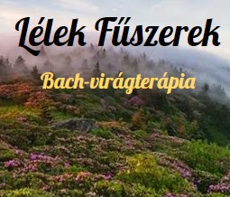 Lélekfűszerek blog