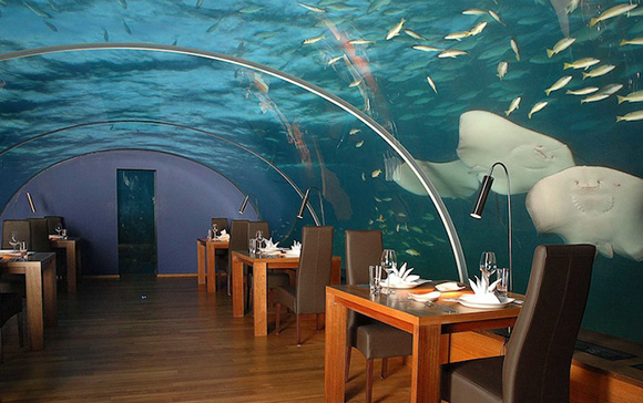 Underwater Bedroom Restaurant In Maldives The Dna Life