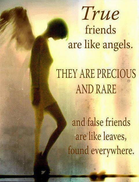 Miss Contentment : Friends