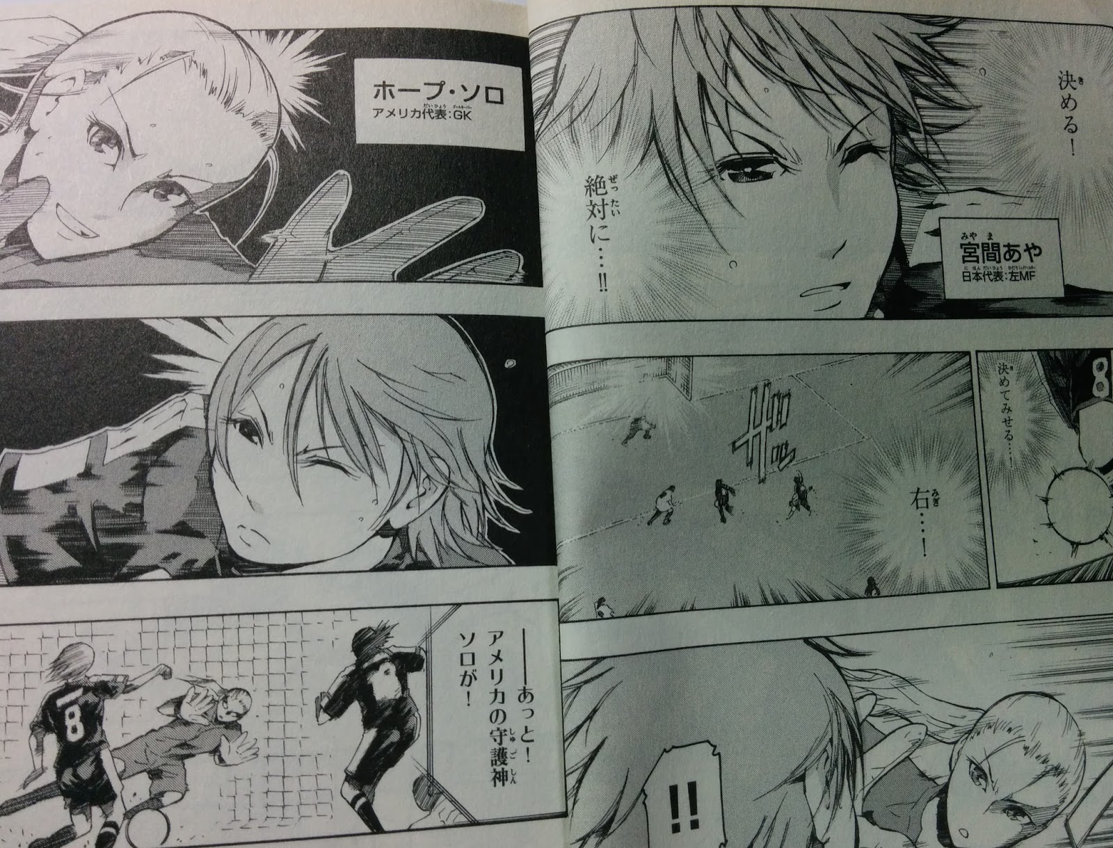 あひる道楽 漫画 原作 工藤晋 漫画 笠原巴 山崎夏軌 佐治晴斗 なでしこジャパン物語 宮間あや 安藤梢 鮫島彩
