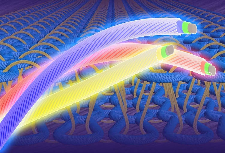 light emitting electrochemical cell fiber
