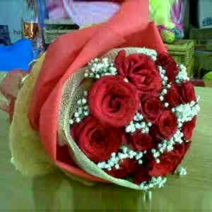 Romantic Rose Good Morning Hd Wallpaper Beautiful Flowers Hd