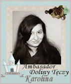 Ambasador Doliny Tęczy