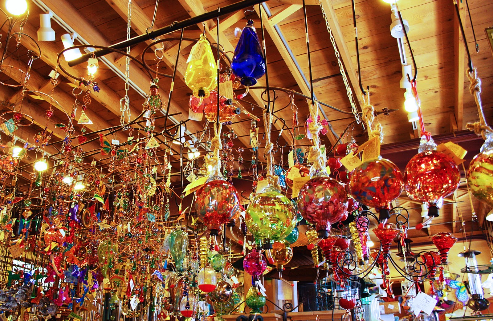 I Heart Salt Lake Backyard Birds and Gardens