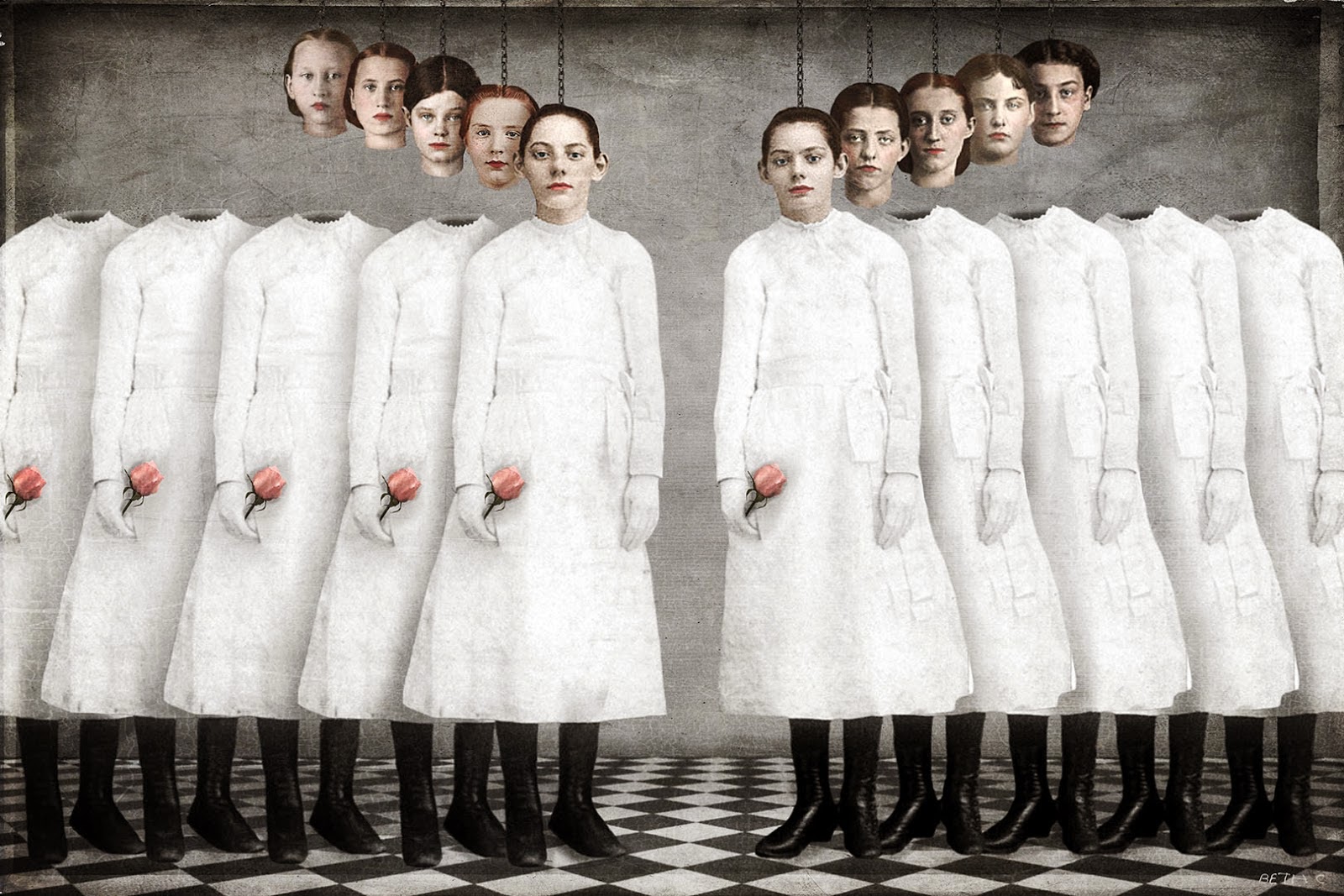 antblog Beth Conklin