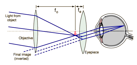 Low Vision Eyeglasses LowVisionEyeglasses.com: Low Vision ... parts of a reflecting telescope diagram 
