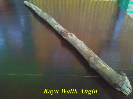 Kayu Bertuah Pemancar Energi Metafisikapiwulang Luhur