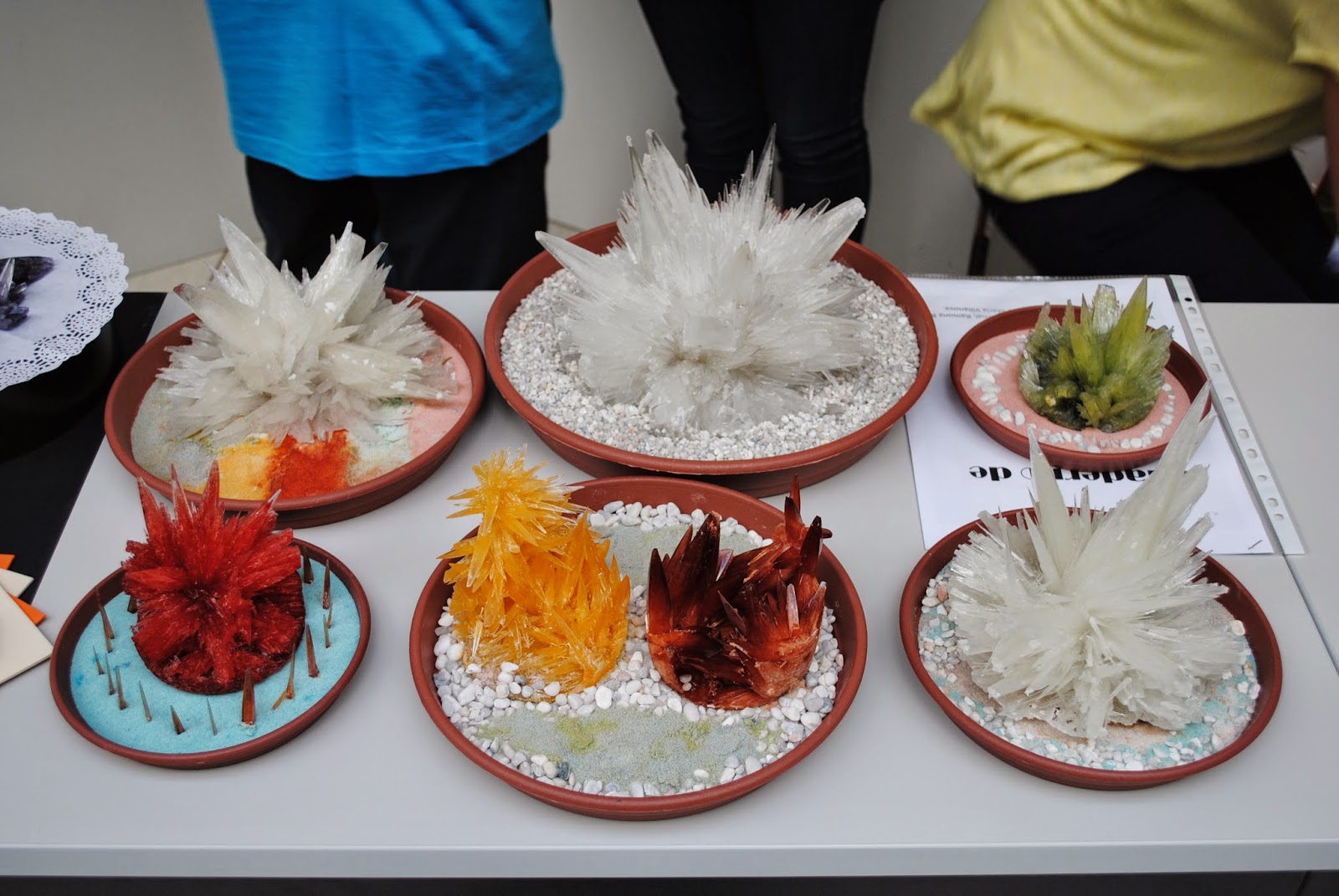 AMPA IES Fco Grande Covián (Zaragoza) CONCURSO DE CRISTALIZACIÓN CON ADP