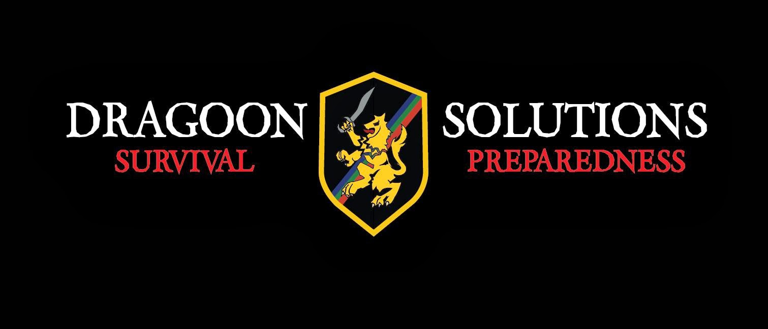 Dragoon Solutions Logo