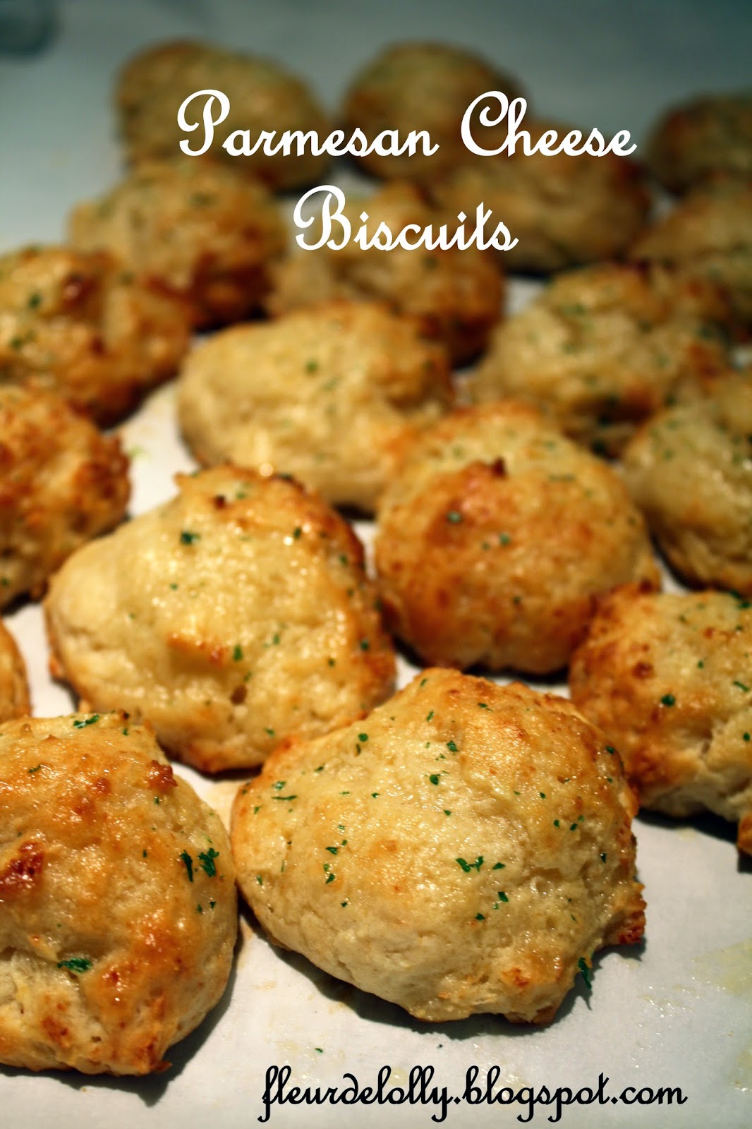 Fleur de Lolly Parmesan Cheese Biscuits