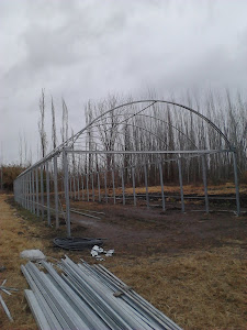 (Julio 2012) ALGO MÁS PARA SENTIRNOS ORGULLOSOS NUEVO INVERNADERO EN CONSTRUCCIÓN