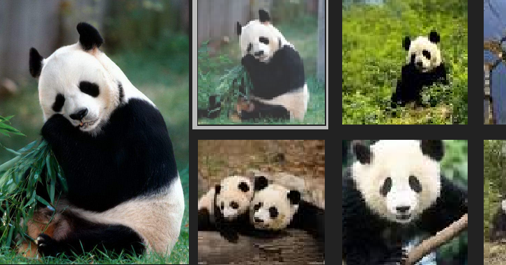 ANIMALES EN EXTINCIÓN: OSO PANDA