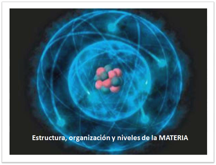 Estructura, organización y niveles de la MATERIA