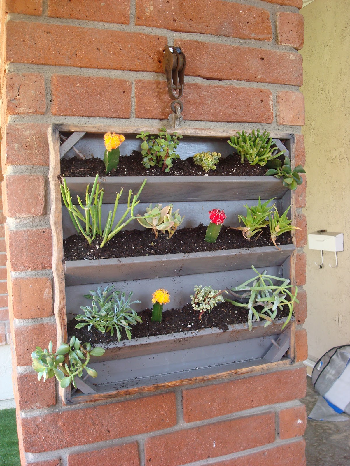 Dishing Up Design A "Succulent" Coffee Table