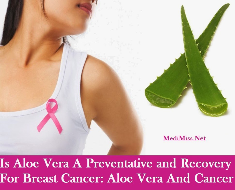 Is Aloe Vera A Preventative and Recovery For Breast Cancer Aloe Vera