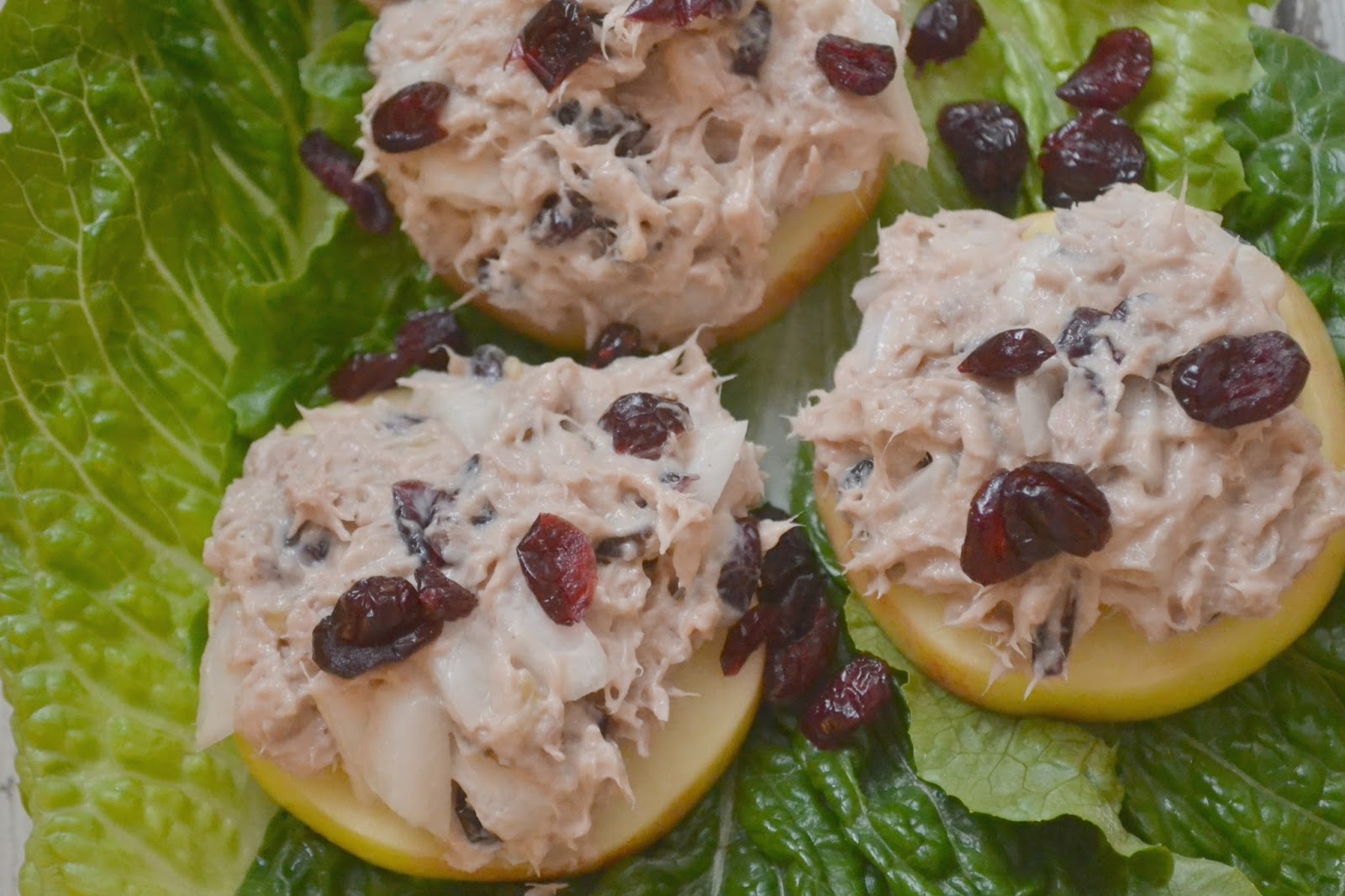 Apple Slices Topped with Cranberry Walnut Tuna Salad Building Our Story
