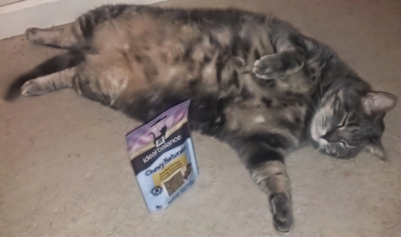 science diet ideal balance