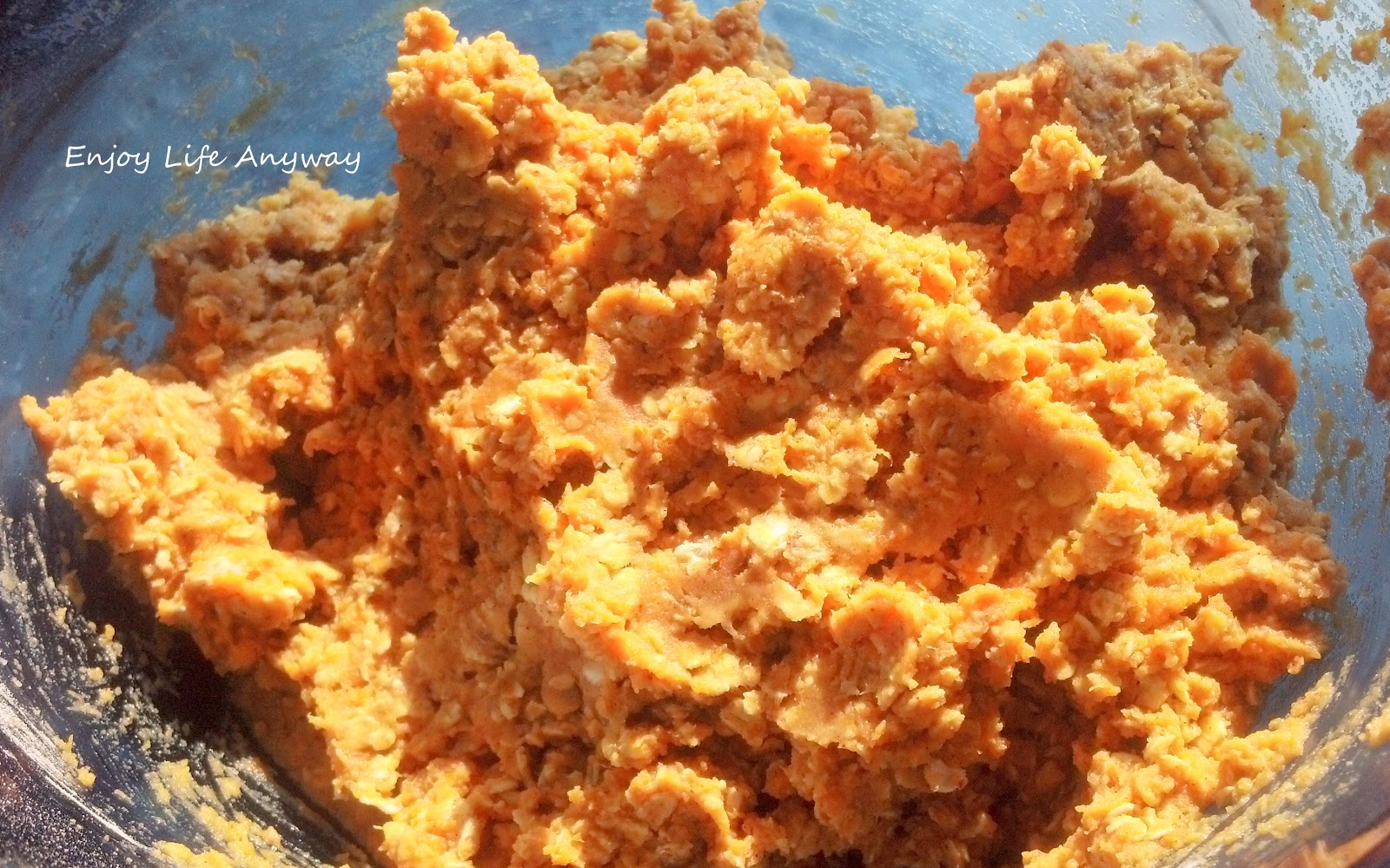 Enjoy Life Anyway Oatmeal Pumpkin (wheatfree) Dog Treats