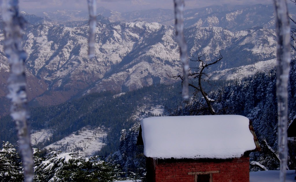 Cedar Hill Lodge (Shimla) Himachal Pradesh. Himachal Information