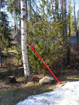 Pihakoivun kaato, pihapuiden kaadot Tampereen ja Pirkanmaan talousalueilla käteismaksulla