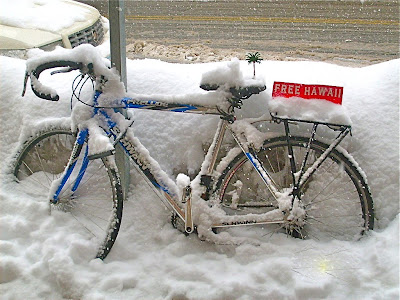 freehawaiibicycle.jpg