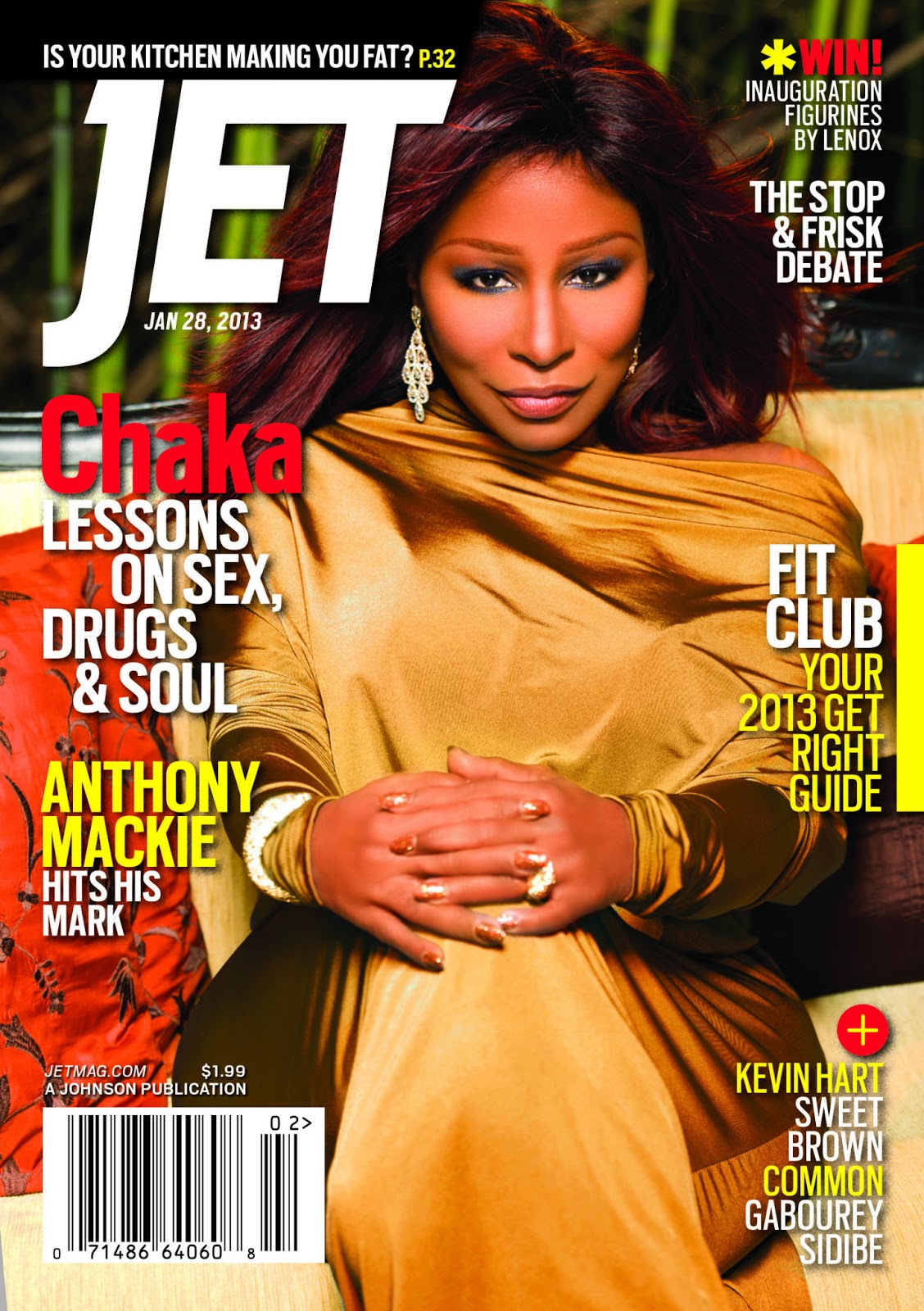 Chaka Khan brings power, wisdom and sexy to the cover of JET Magazine - It's Arkeedah ...1128 x 1600