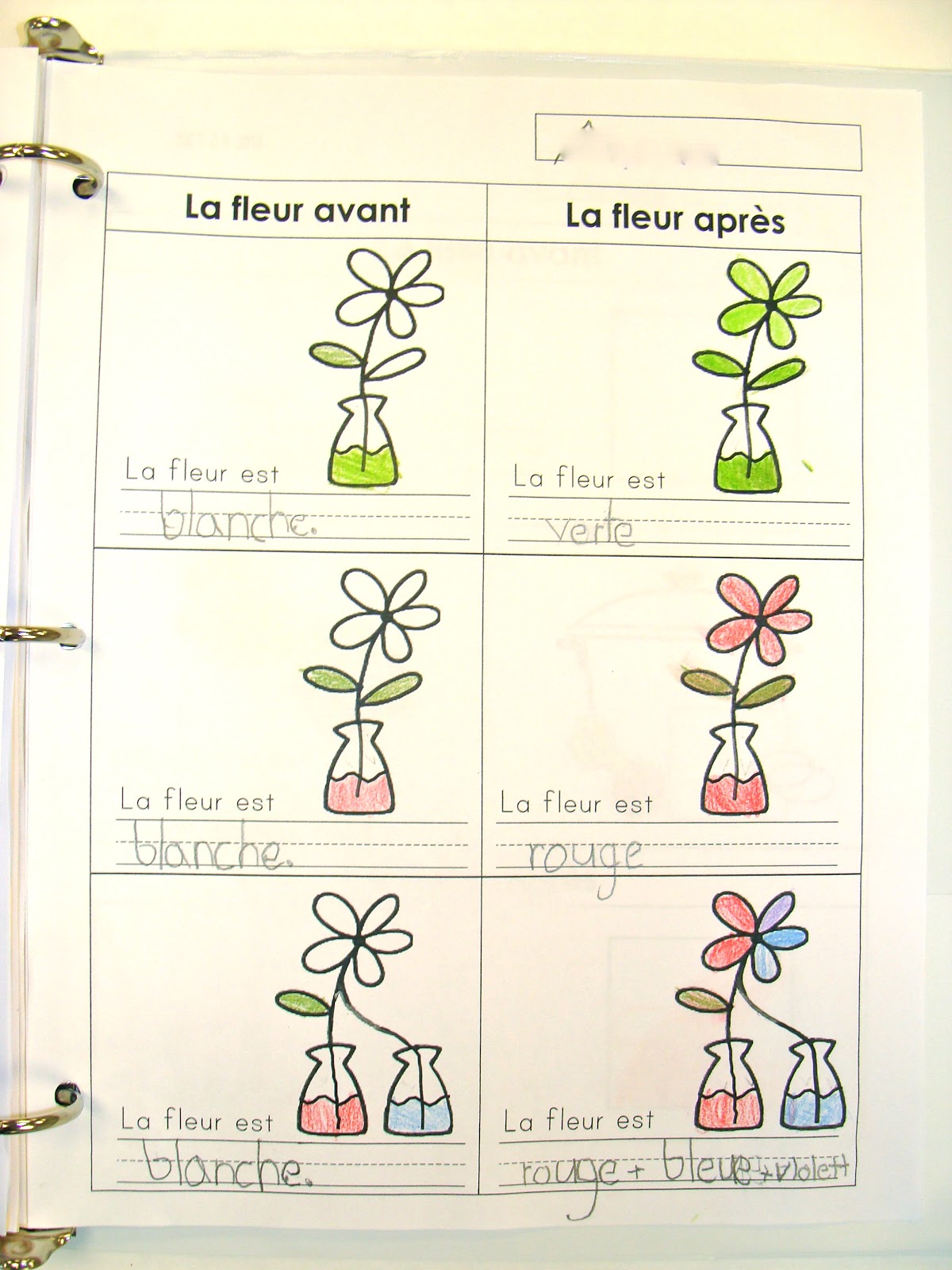 Madame Belle Feuille: les couleurs