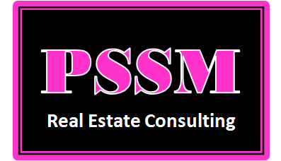 Detroit Real Estate Consultant