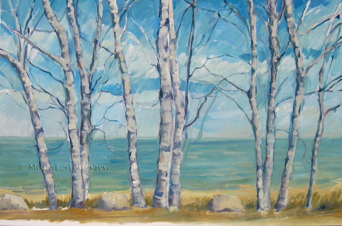 A Michigan Painting a Week Birch Trees, Lake Huron Shoreline