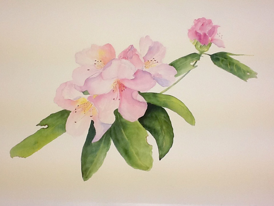 How To Host A Bob Ross Party With Adults Or Kids Pink Stripey