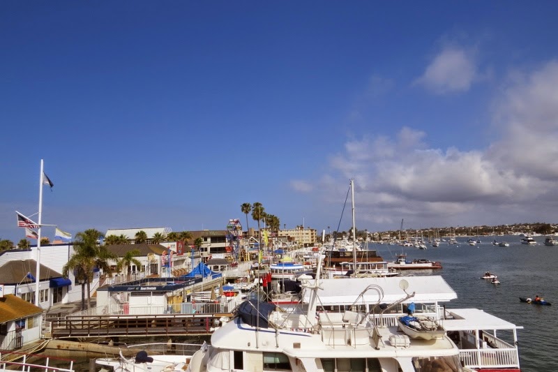 Going On A Day Trip To Santa Catalina Island Part 1 It