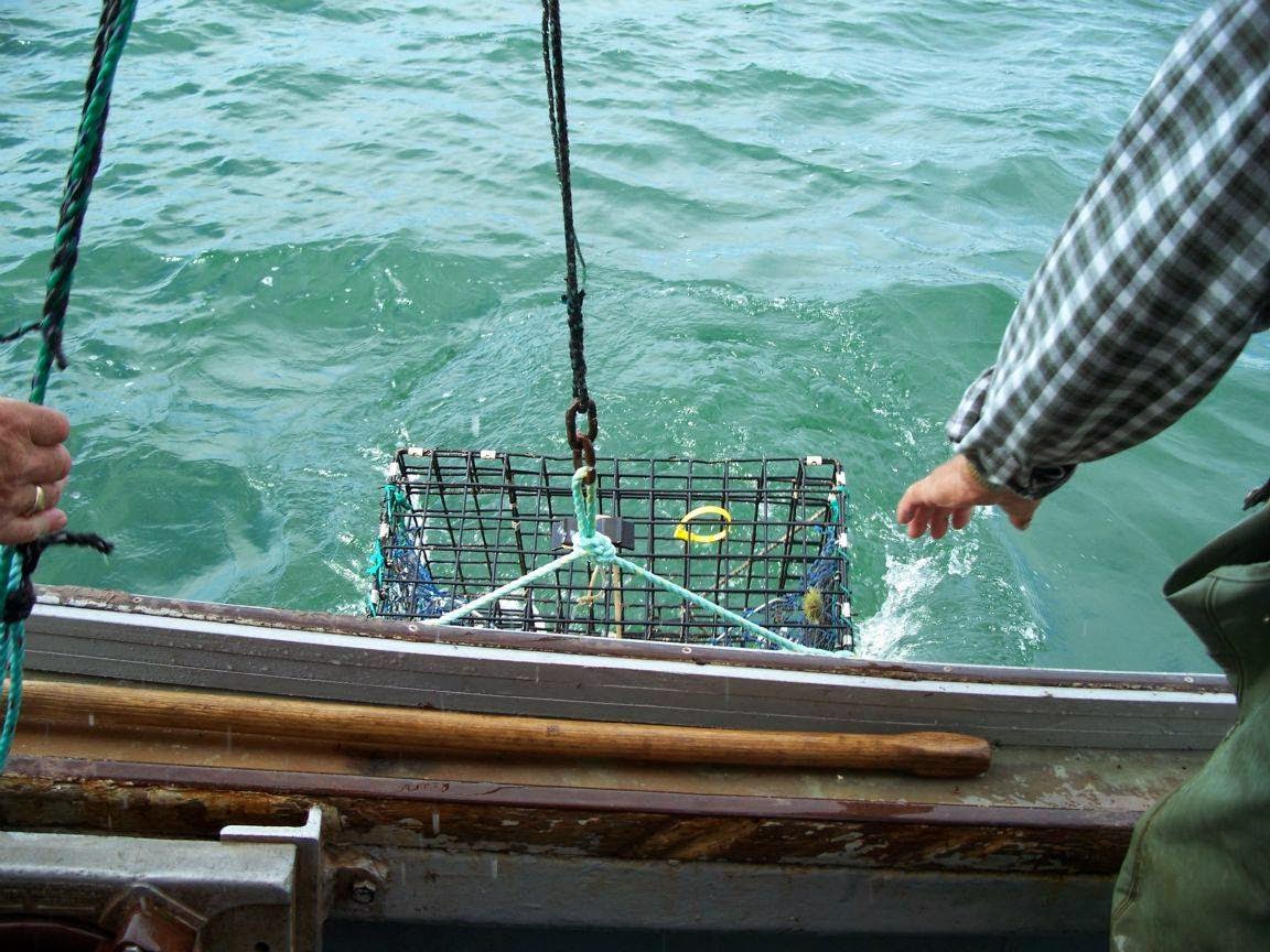 Lobster Bash Trap Hauling Ready to Go! Thanks V & R Traps!!!