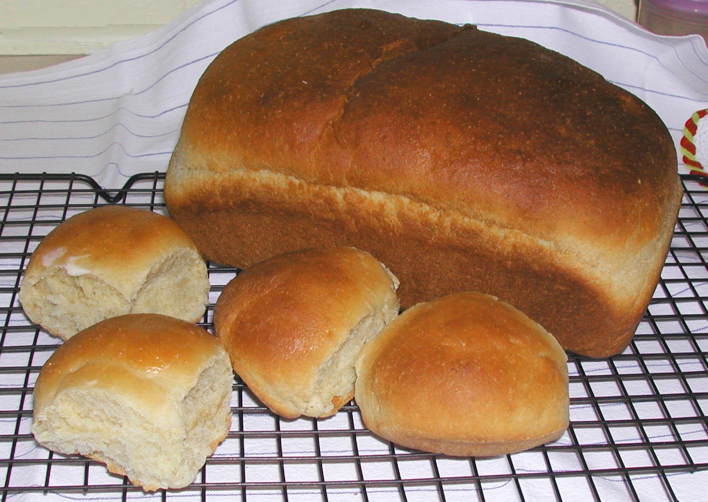 The Iowa Housewife Cornmeal Yeast Bread