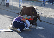 Fotos Azaruja 2015