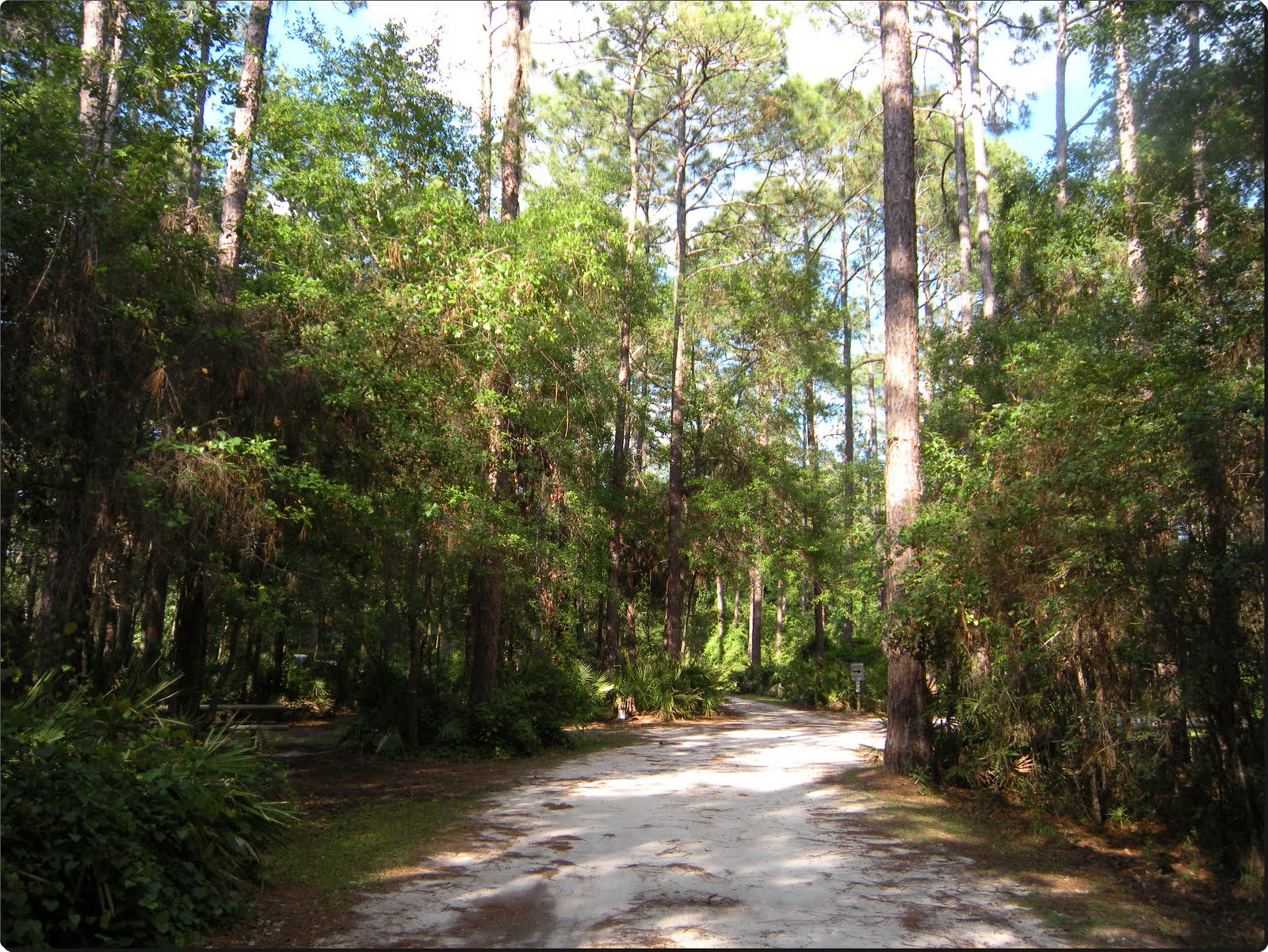 Our Adventures with "Josie" Ocean Pond, Olustee Florida
