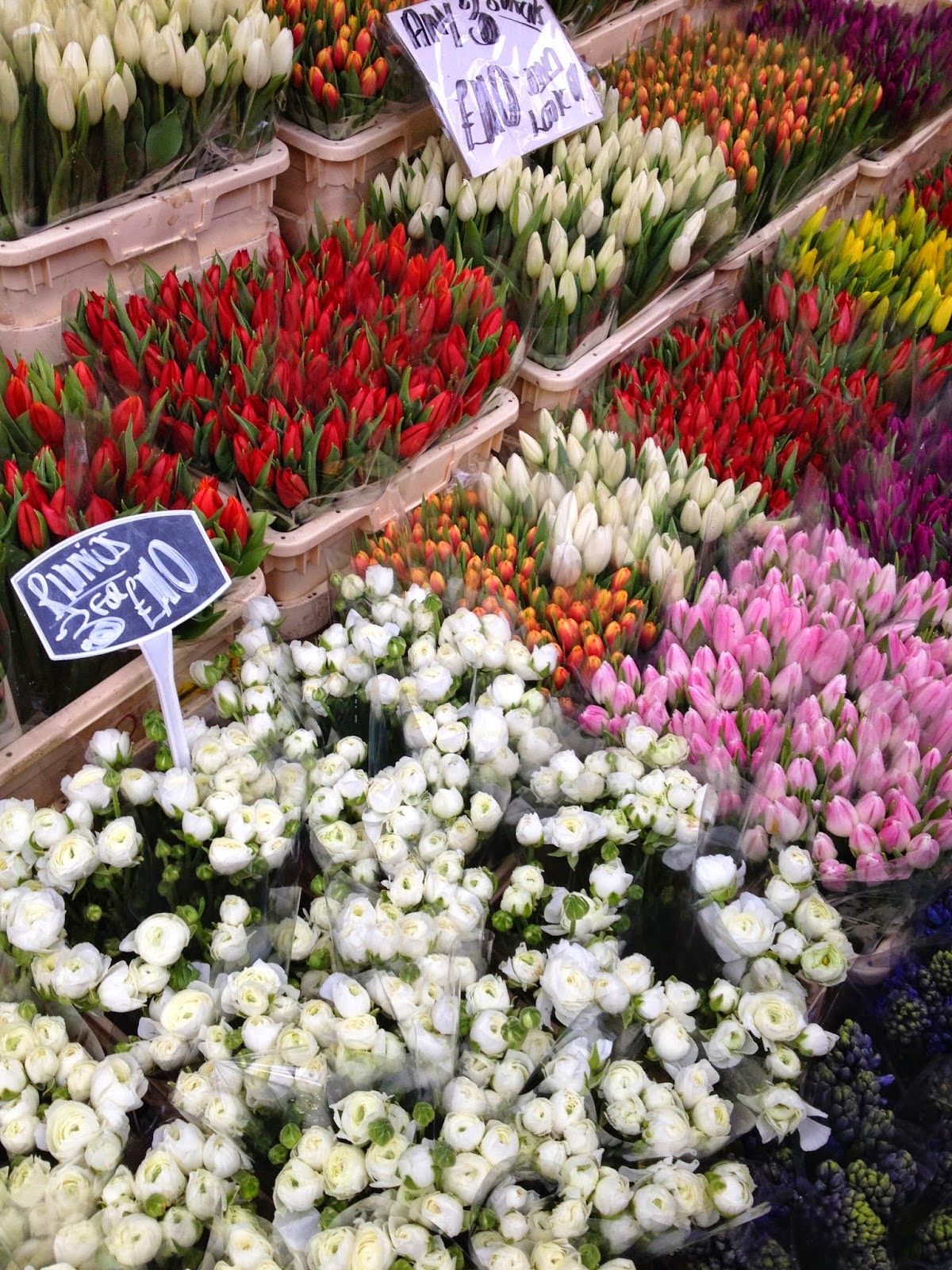 Throwback Columbia Road Flower Market Roses and Rolltops