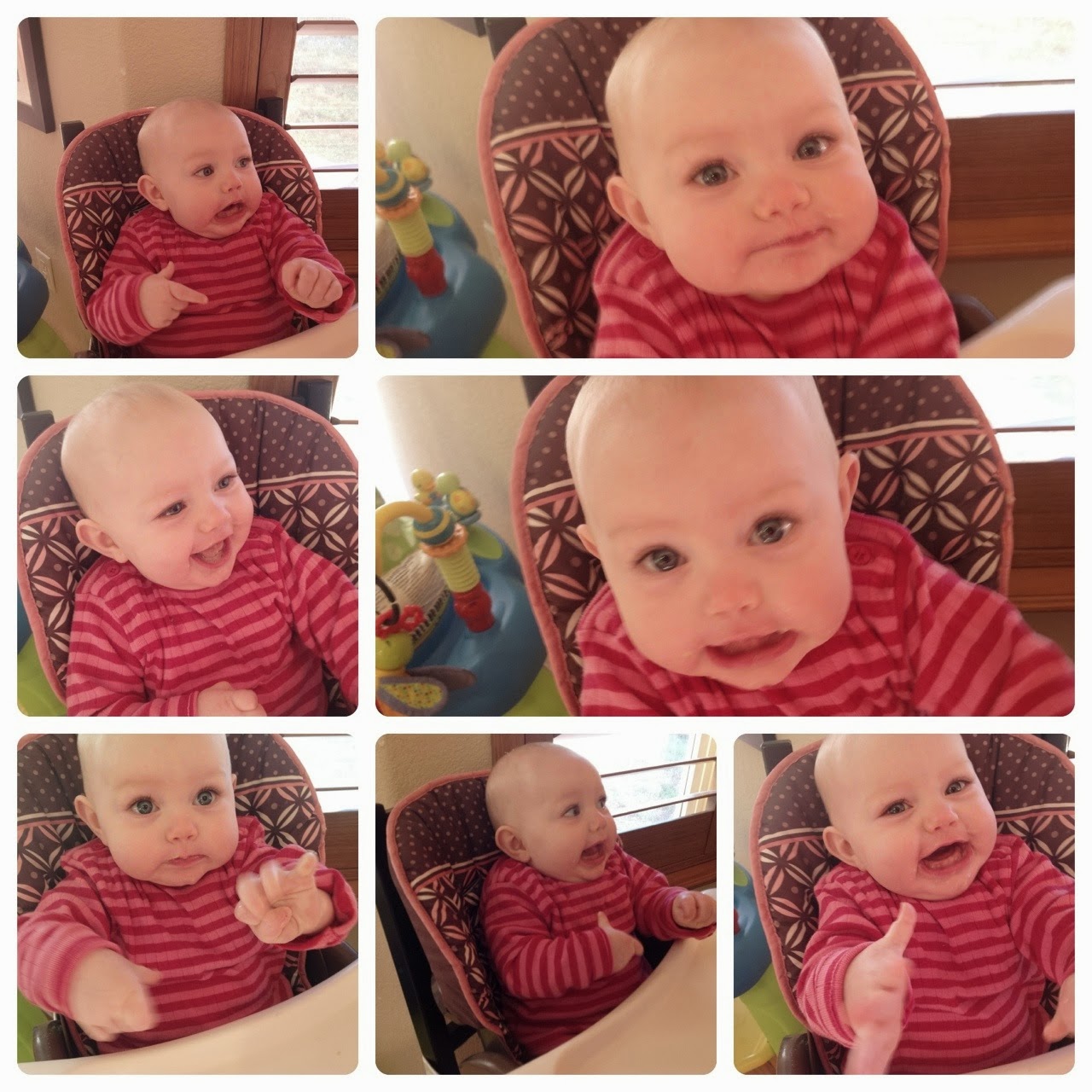 She Squeezes Her Fists And Growls At Us It Is Just So Cute Sorry There Are So Many Pictures I Just Wanted To Share All Her Expressions She Squeezes Her Fists And Growls At Us It Is Just So Cute Sorry There Are So Many Pictures I Just Wanted To Share All Her Expressions