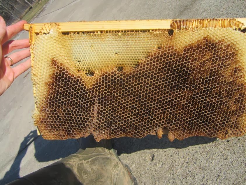 Simply Resourceful Cleaning Up Bee Frames