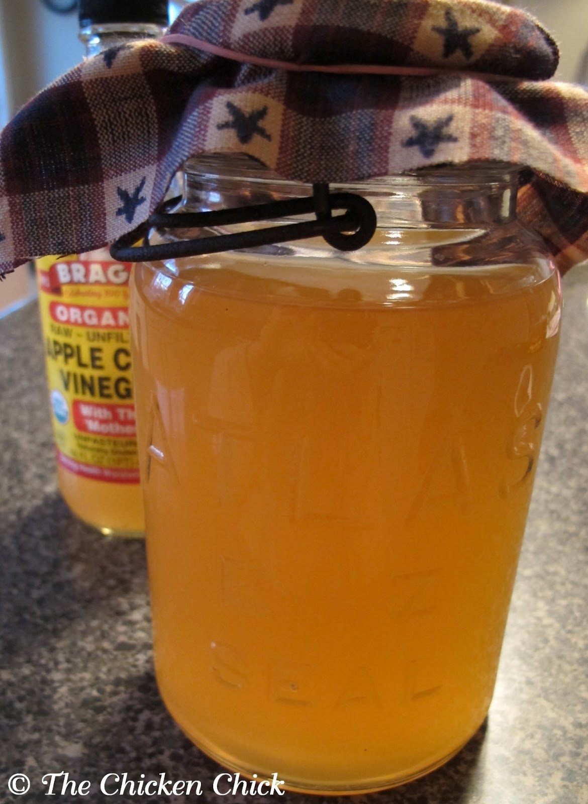 The Chicken Chick® 10+ Tips for Healthy Chickens