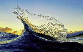 "Wave" - #FlorescentNaughtRogue