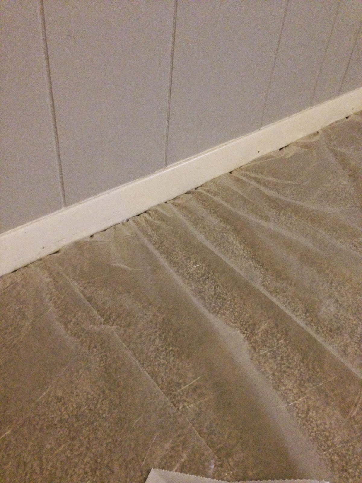Live and Learn Home Improvement Painting Baseboards over Carpet