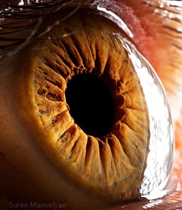 eye-macro-photo-12.jpg