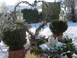 Wintergarten