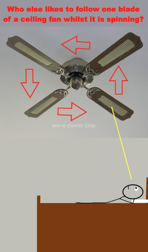 Who Else Likes To Follow One Blade Of A Ceiling Fan Whilst It Is