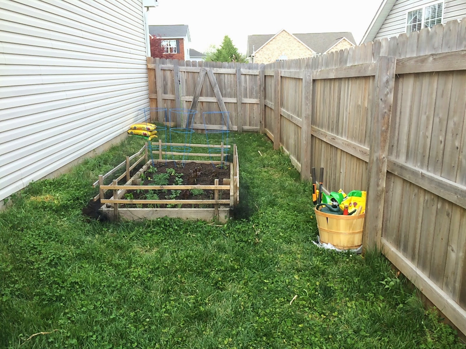 Upside Of Chaos: Patio and Backyard Design Part 1