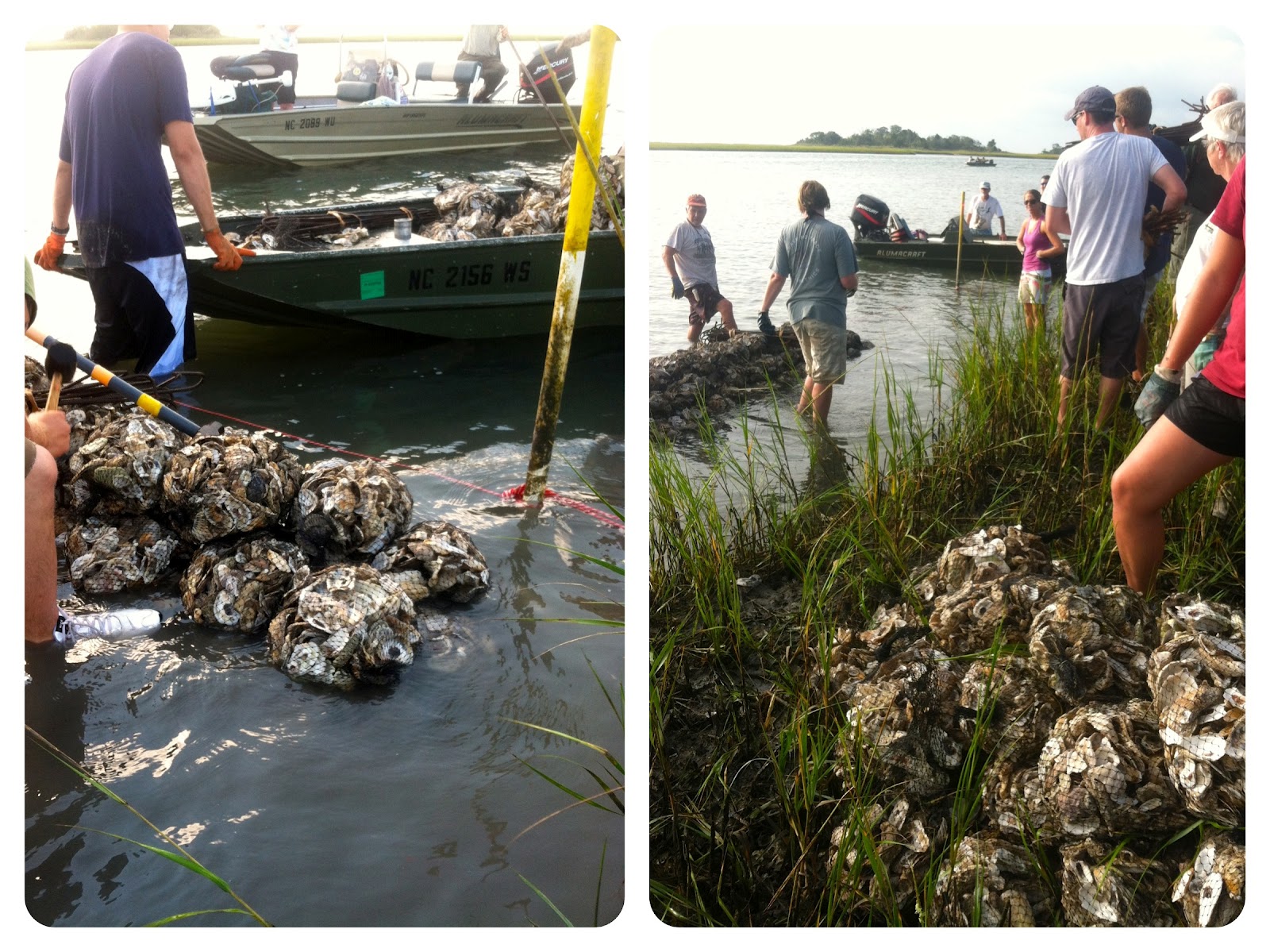 Building an Oyster Reef │fishsmith3's Blog